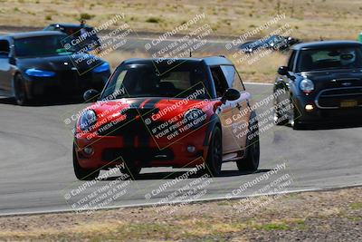 media/Apr-06-2025-Extreme Speed (Sun) [[ad1499d5ff]]/Blue group/Turn 3/